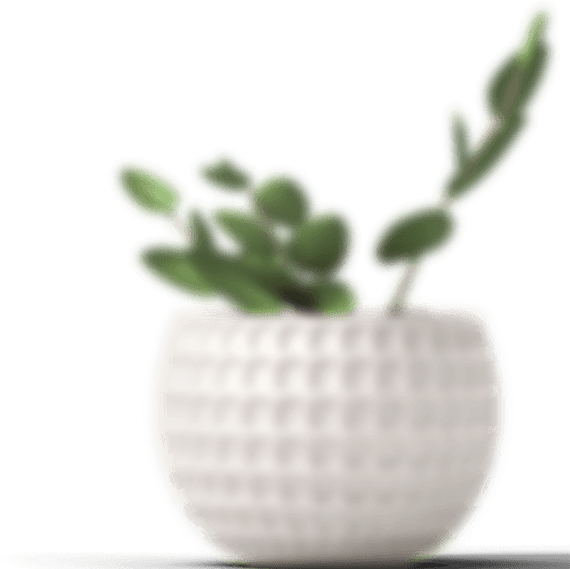 Image with missing alt attribute found on cosmetify.in