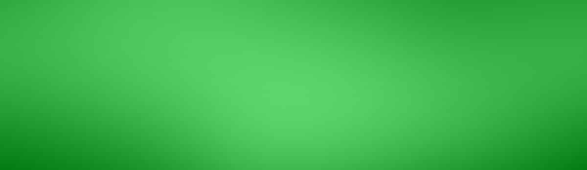 Image with missing alt attribute found on hansagarten24.de