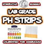 Kombucha testing