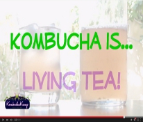Image with missing alt attribute found on kombuchakamp.com