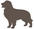 Image with missing alt attribute found on preventivevet.com