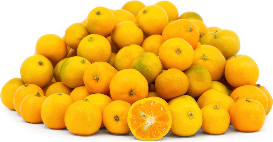 Link to Calamondin Limes