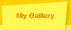My Gallery