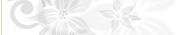 Image with missing alt attribute found on amourangels.com