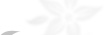 Image with missing alt attribute found on amourangels.com