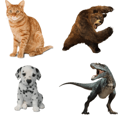 Animals