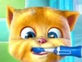 Game Talking Ginger. Play Free Online.