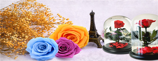 Image with missing alt attribute found on chinalane.org