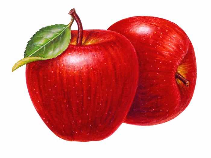 Image with missing alt attribute found on clipart-library.com