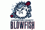 Image with missing alt attribute found on sportslogos.net