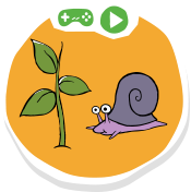 Animals and Plants