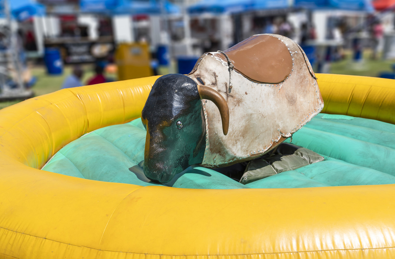 Byk rodeo