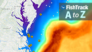 Image with missing alt attribute found on fishtrack.com