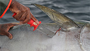 Image with missing alt attribute found on fishtrack.com