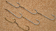Image with missing alt attribute found on fishtrack.com