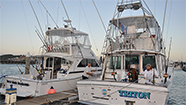Image with missing alt attribute found on fishtrack.com