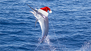 Image with missing alt attribute found on fishtrack.com