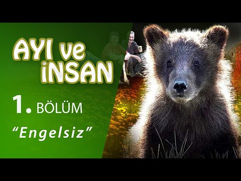 Ayı ve İnsan