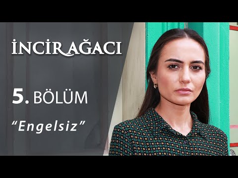 İncir Ağacı