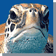 Image with missing alt attribute found on banderasnews.com