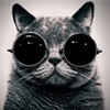 Image with missing alt attribute found on joomla-master.org