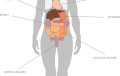 Image with missing alt attribute found on kidspressmagazine.com