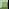 Image with missing alt attribute found on lebensmittel-page.de