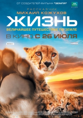 Image with missing alt attribute found on legfilm.ru