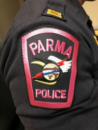 Image with missing alt attribute found on parmaobserver.com