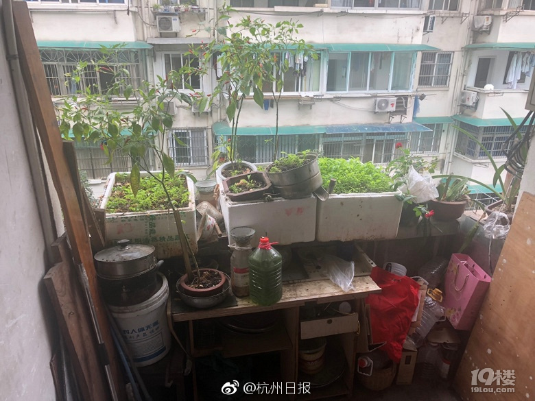 王毅：中拉合作不针对第三方，不受第三方影响