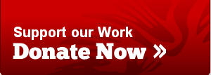 Donate Oceanofgames.com
