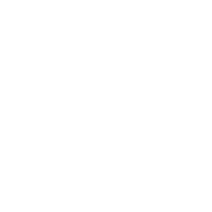 Image with missing alt attribute found on plainstel.com