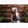 Image with missing alt attribute found on nnov.org