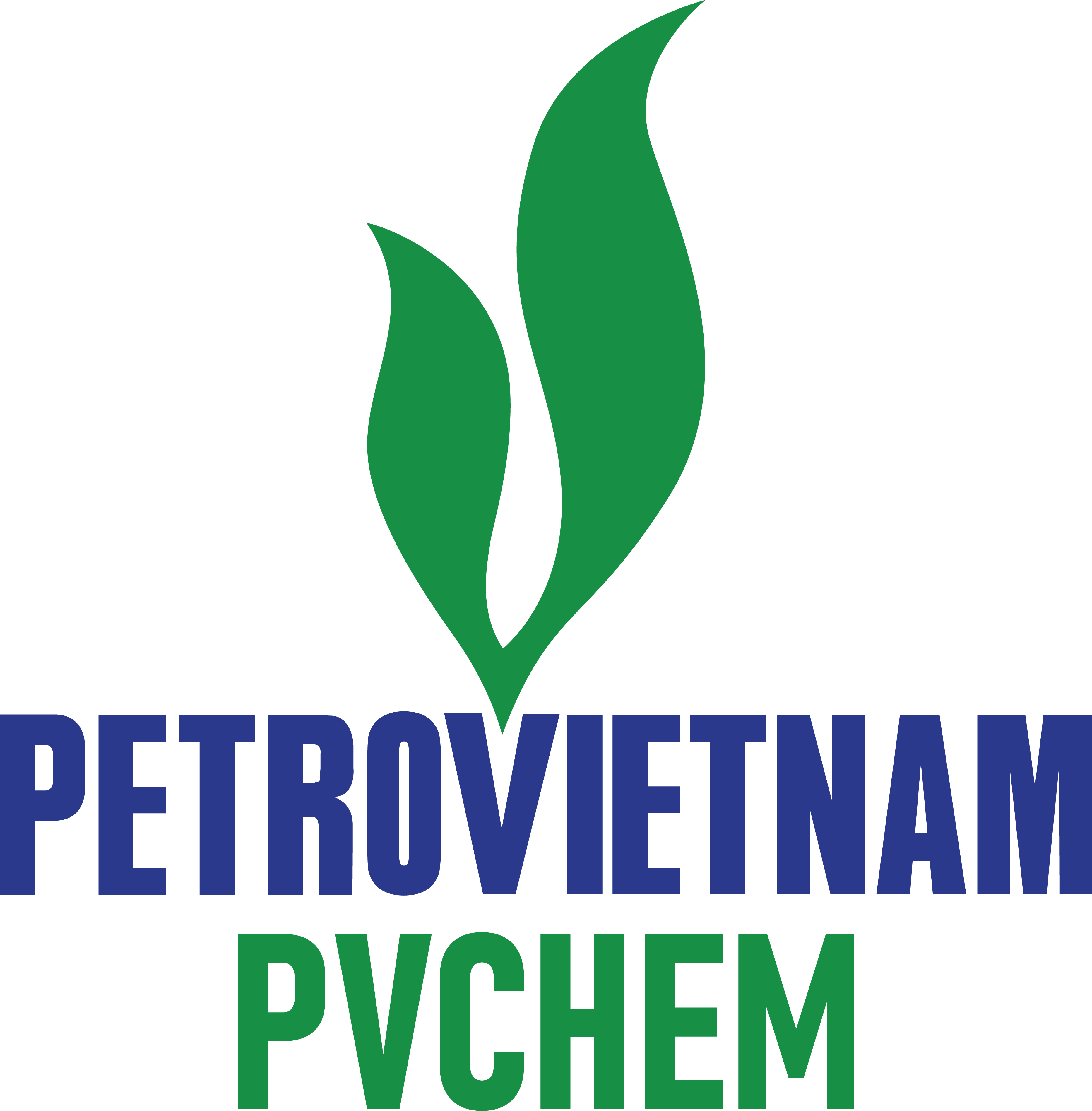 Image with missing alt attribute found on pvchem.com.vn