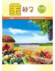 Image with missing alt attribute found on minghui.org