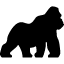 Image with missing alt attribute found on researchranking.org