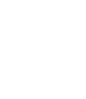 Image with missing alt attribute found on satyamevinfotech.com