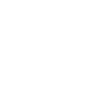 Image with missing alt attribute found on satyamevinfotech.com