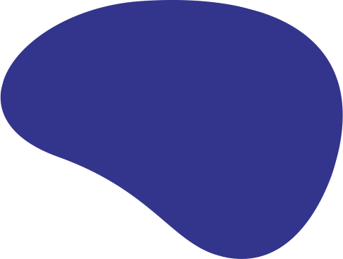 Image with missing alt attribute found on satyamevinfotech.com