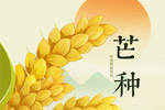花纹边框