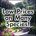 Image with missing alt attribute found on gardenersnet.com