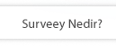 Surveey Nedir ?