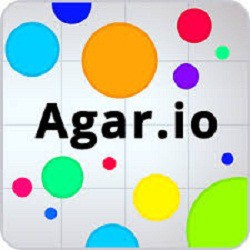 Image with missing alt attribute found on terraarcade.com