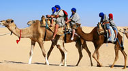 Image with missing alt attribute found on moroccotravelspecialist.com