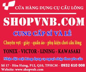 Image with missing alt attribute found on vnbadminton.com