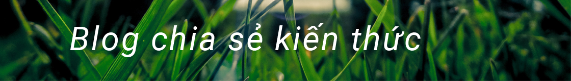 Blog chia sẻ khoa học v&agrave; c&ocirc;ng nghệ