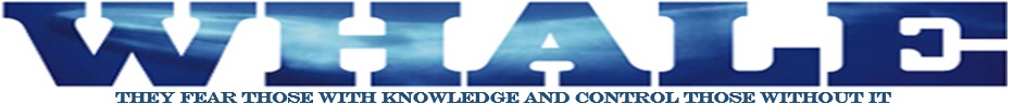 Image with missing alt attribute found on whale.to