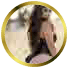 Image with missing alt attribute found on anupreetkaur.com