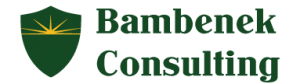 Image with missing alt attribute found on bambenekconsulting.com