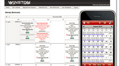 Custom web development of marketing mini sites